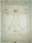 Leonardo da Vinci/l’uomo di vitruvio 